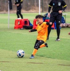 爱游戏娱乐-新河镇 “迎新杯” 青少年足球赛鸣金，根宝基地小将首夺冠军